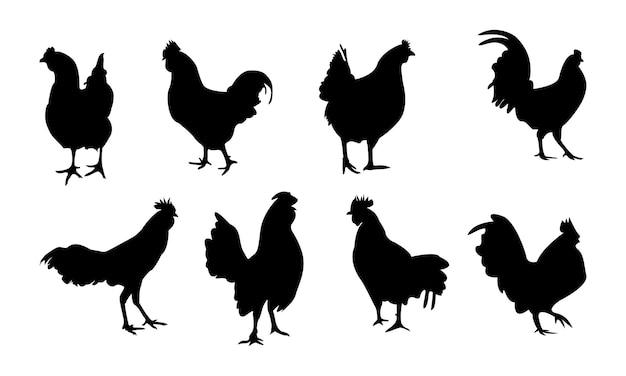 Un ensemble d'images de poulets dont l'un est une silhouette de poulets en noir et blanc