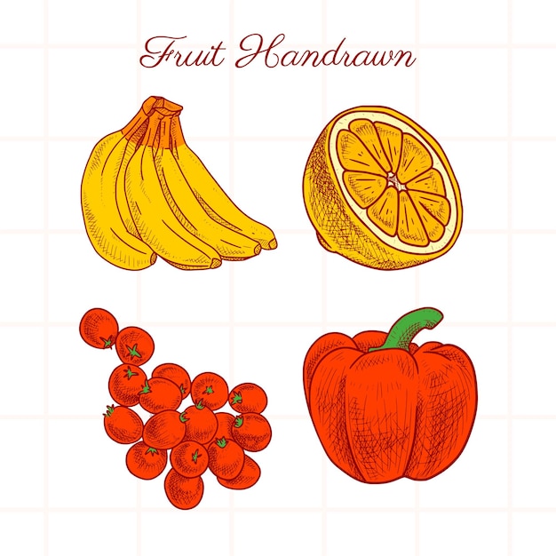 Ensemble D'images Vectorielles D'illustrations De Fruits Dessinées à La Main De Différentes Couleurs (banane, Tranche De Citron, Raisin, Paprika)