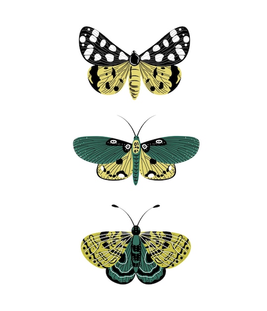 Ensemble d'images vectorielles papillons dans un style plat