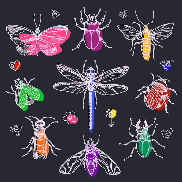 Ensemble D'insectes Dessinés à La Main Illustration Vectorielle Croquis Graphique De Ligne éléments De Griffonnage