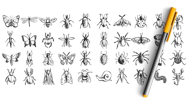 Ensemble D'insectes Doodle Isolé Sur Blanc