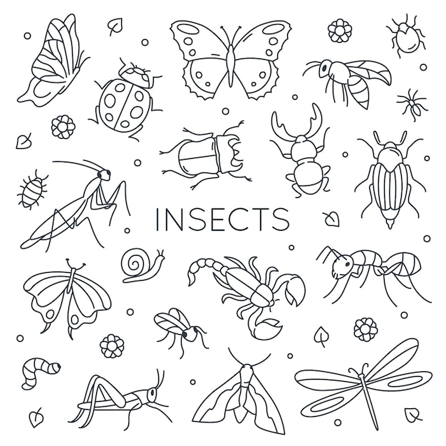 Vecteur ensemble d'insectes doodle.