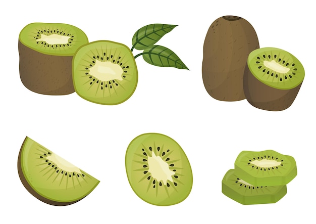 Ensemble De Kiwi Avec Des Feuilles De Fruits En Illustration De Style Dessin Animé