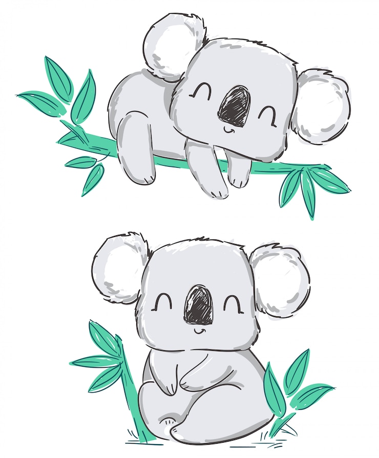 Vecteur ensemble de koala et de feuilles mignonnes grises dessinées isolées sur un blanc