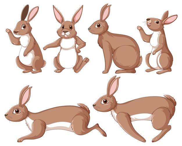 Ensemble de lapins bruns dans différentes poses