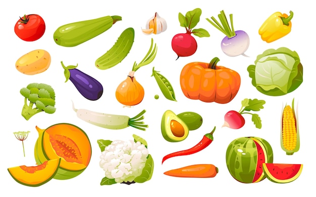 Ensemble De Légumes. Alimentation Biologique Naturelle. Nourriture Saine. Illustration Vectorielle Isolée