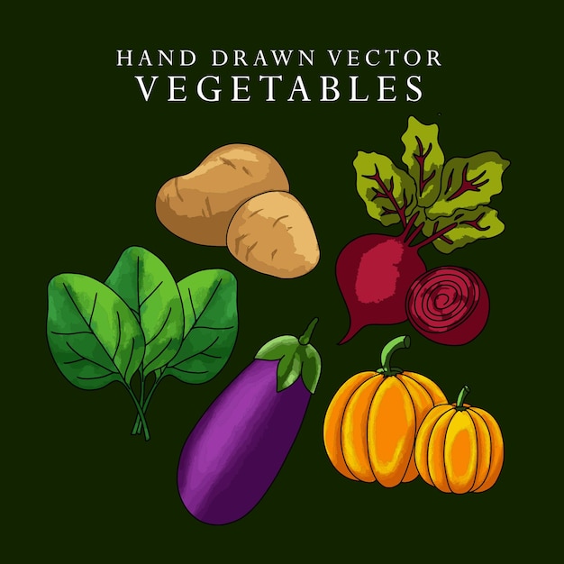 Vecteur ensemble de légumes vectoriels dessinés à la main