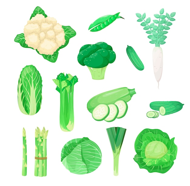 Un Ensemble De Légumes Verts Sur Fond Blanc Conception De Dessin Animé