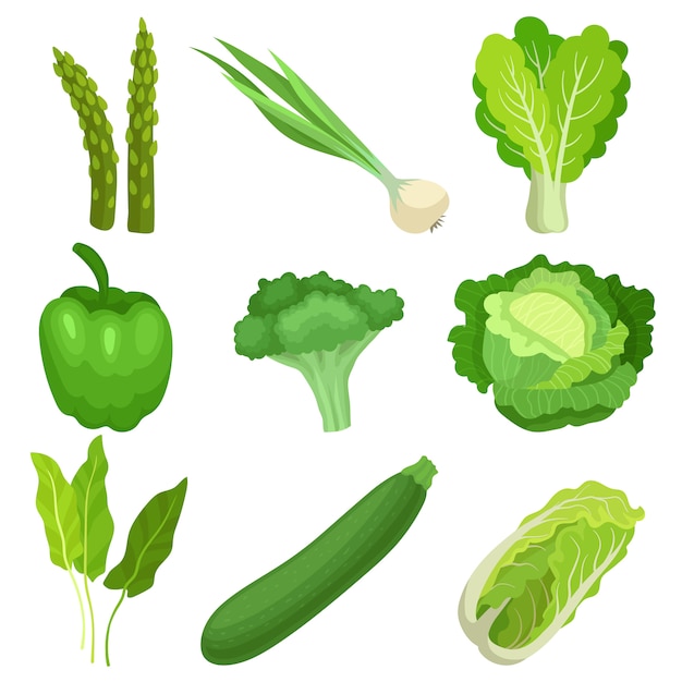 Ensemble de légumes verts frais.