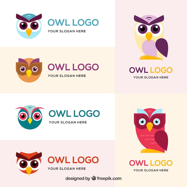 Ensemble De Logo Hibou Coloré