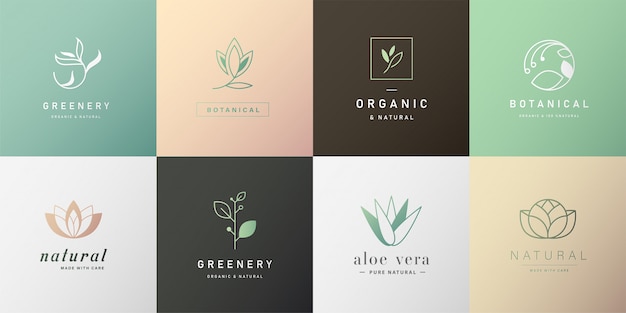 Ensemble De Logo Naturel Pour L'image De Marque Dans Un Design Moderne