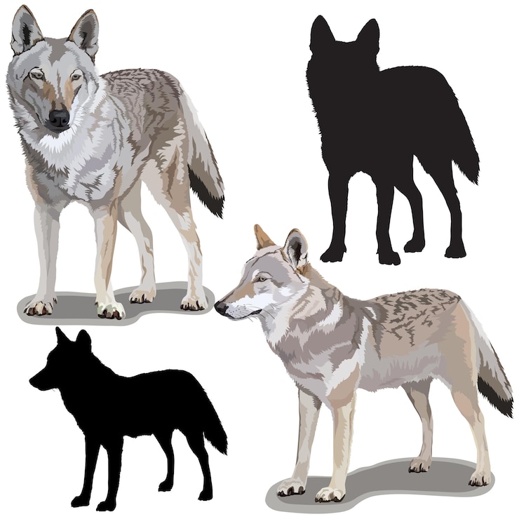 Vecteur ensemble de loups