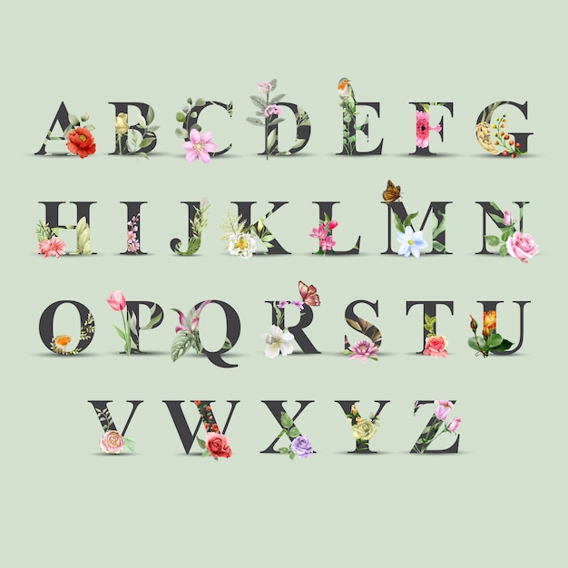 ensemble magnifique de l'alphabet aquarelle floral A à Z