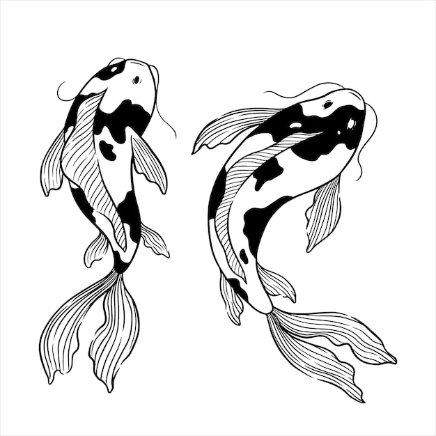 Ensemble De Main Dessiner Illustration Vectorielle De Poisson Koi