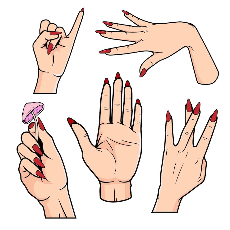Vecteur ensemble de mains de femme posent