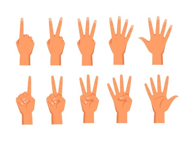 Vecteur ensemble de mains vectorielles montrant le nombre de doigts