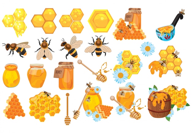 Vecteur ensemble de miel. collection d'apiculture. ensemble de rucher de dessin animé.illustration de ruche.