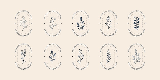 Ensemble De Modèle De Logo De Nature Botanique De Collection. Paquet Floral Féminin Dessiné à La Main, Logos D'ornement.