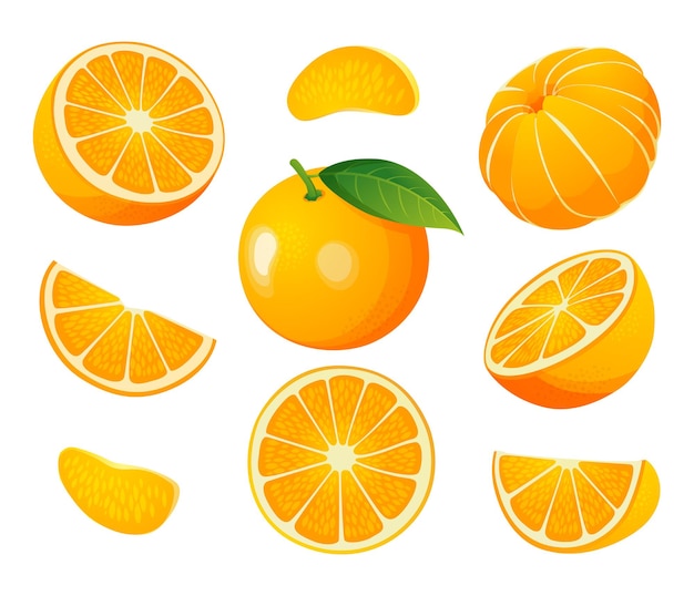 Vecteur ensemble de moitié entière fraîche et illustration de fruits orange tranche coupée isolé sur fond blanc