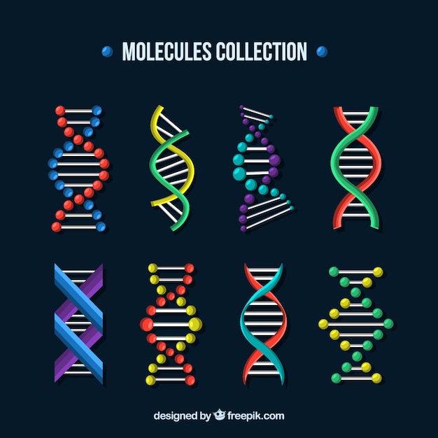 Vecteur ensemble de molécules et structures de dna