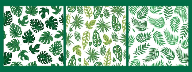 Ensemble De Motifs Avec Des Feuilles Tropicales Graphiques Vectoriels