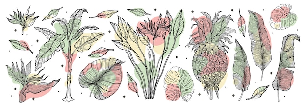 Vecteur ensemble de nature de plantes tropicales ensemble dessiné à la main art ligne. palmier jungle floral. illustration.