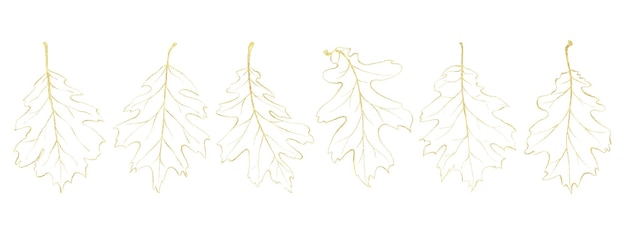 Ensemble de nervures saisonnières des feuilles d'or isolées sur fond blanc