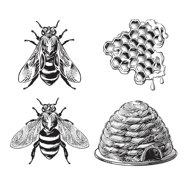Vecteur ensemble de nids d'abeilles de guêpe d'abeille et de ruche dessin monochrome vintage gravure graphique rucher collection dessinée à la main d'insectes élément de conception tatouage de style rétro illustration vectorielle noir et blanc