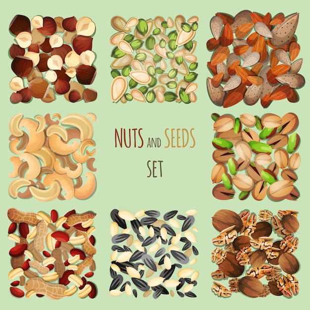 Ensemble de noix et de graines