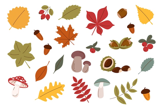 Ensemble d'objets d'automne Récolte d'automne et concept de Thanksgiving