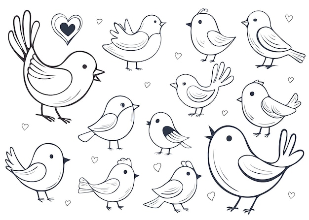 Un ensemble d'oiseaux doodle mignons isolés sur un fond blanc illustration vectorielle dessinée à la main d'un dessin animé
