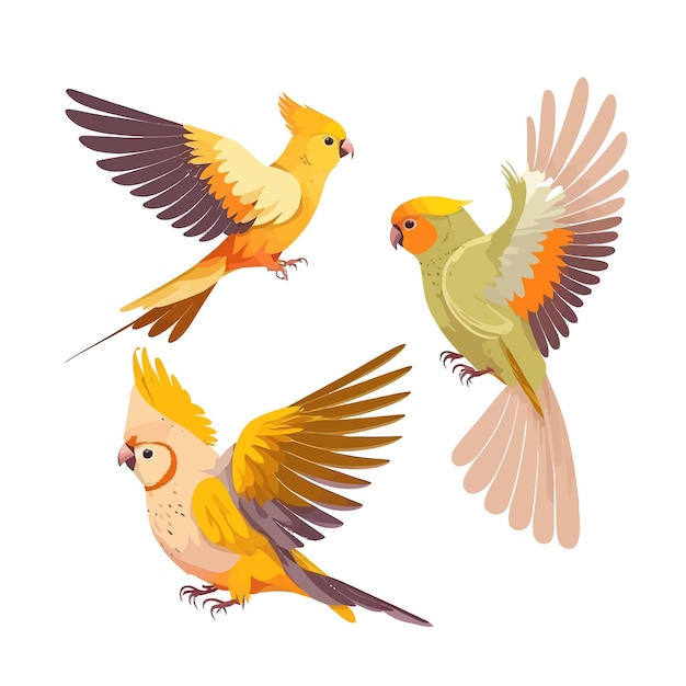 Ensemble d'oiseaux exotiques perroquet jaune avec calopsitte volante à crête et inséparable coloré brillant Isolé sur fond Illustration vectorielle plane de dessin animé