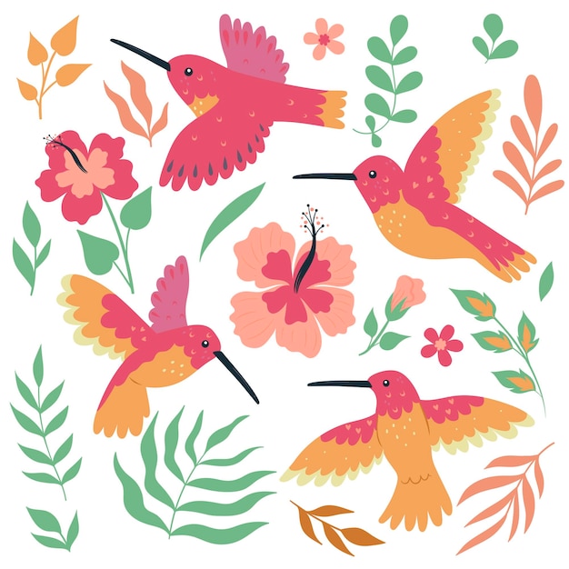 Ensemble d'oiseaux et de fleurs de colibri isolé sur fond blanc