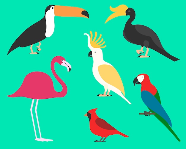 Ensemble D'oiseaux, Sur Fond. Style Tropical Et Domestique Différent, Simple Pour Les Logos.