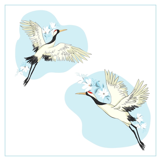 Ensemble D'oiseaux Grue Cigogne Héron Vector