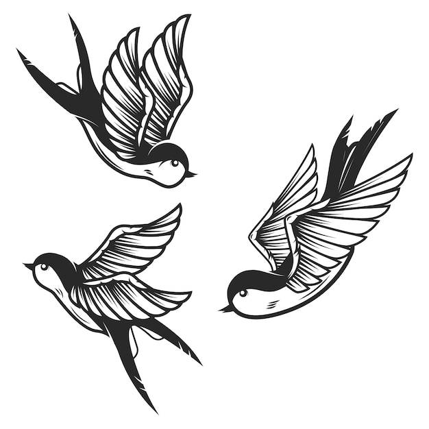 Ensemble d'oiseaux hirondelles sur fond blanc. éléments pour logo, étiquette, emblème, signe. image