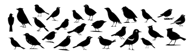 Vecteur ensemble d'oiseaux silhouette noire isolé sur fond blanc illustration vectorielle
