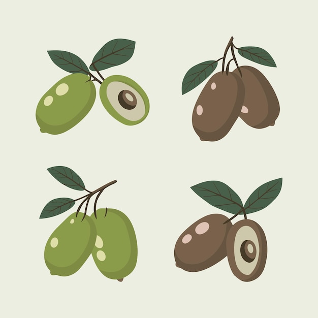 Vecteur ensemble d'olives avec des feuilles illustration vectorielle en style plat