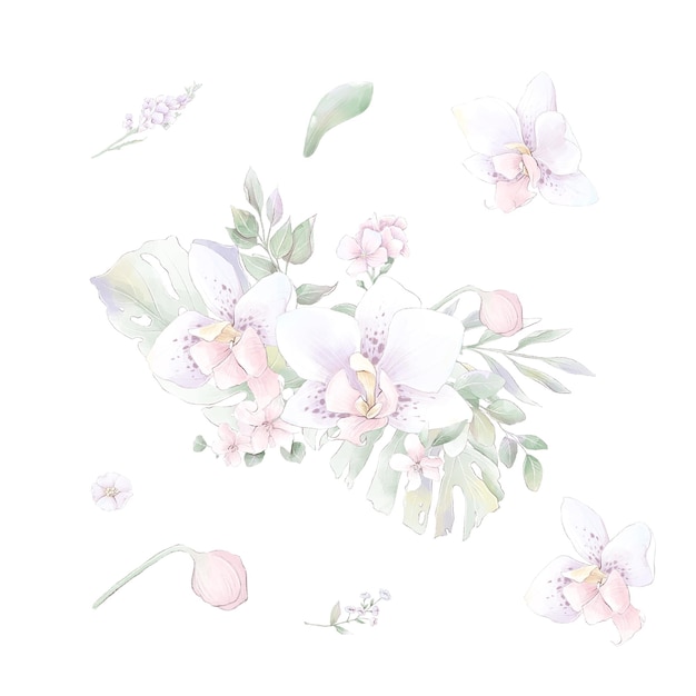 Ensemble D'orchidées De Fleurs Aquarelles, Illustration Aquarelle Isolée