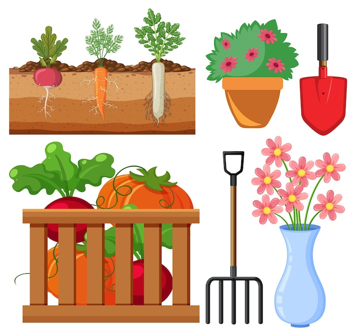 Vecteur ensemble d'outils et d'équipements pour plantes et jardinage