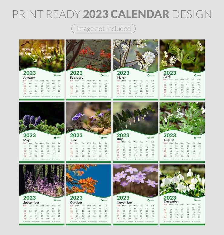 Vecteur un ensemble de pages pour le modèle de calendrier 2023 modifiable de 12 mois. carte d'entreprise simple, planificateur.
