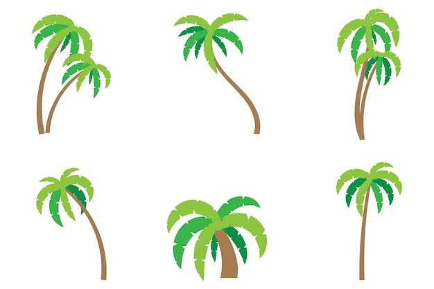 Ensemble de palmier vector illustration arbres tropicaux clipart