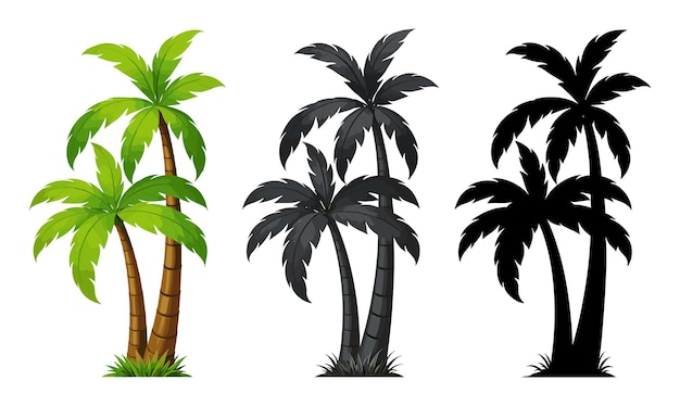 Un ensemble de palmiers