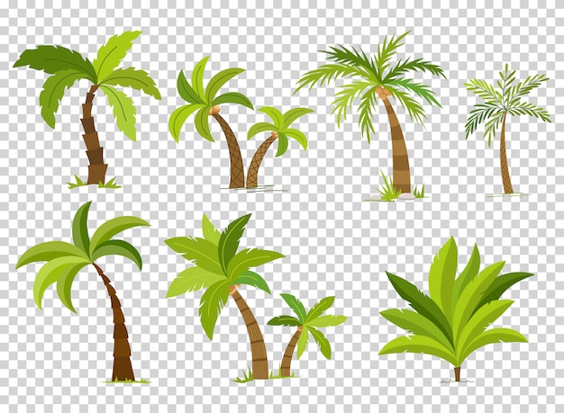 Vecteur ensemble de palmiers