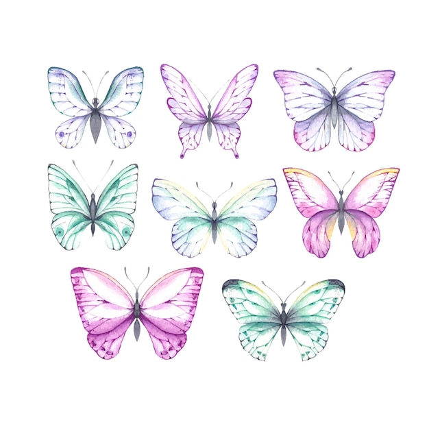 Ensemble de papillon aquarelle