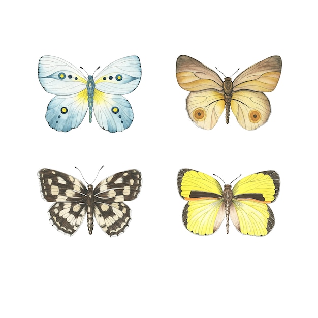 Vecteur ensemble de papillons aquarelle isolé
