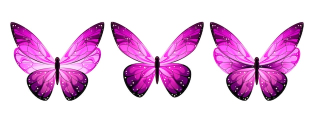 Vecteur un ensemble de papillons cosmiques sur fond blanc