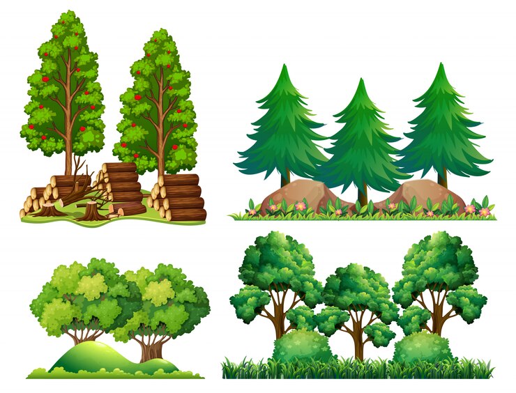 Vecteur un ensemble de paysage forestier