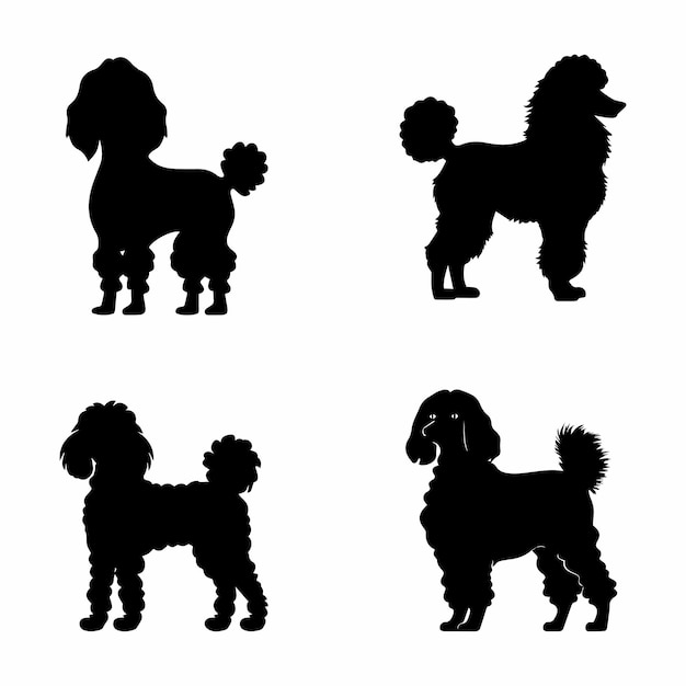 Vecteur ensemble de personnages silhouette caniche avec illustration vectorielle