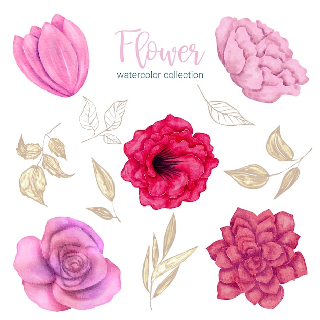 Ensemble de pièces séparées et réunies en un beau bouquet de fleurs dans un style aquarelle sur fond blanc illustration vectorielle plane